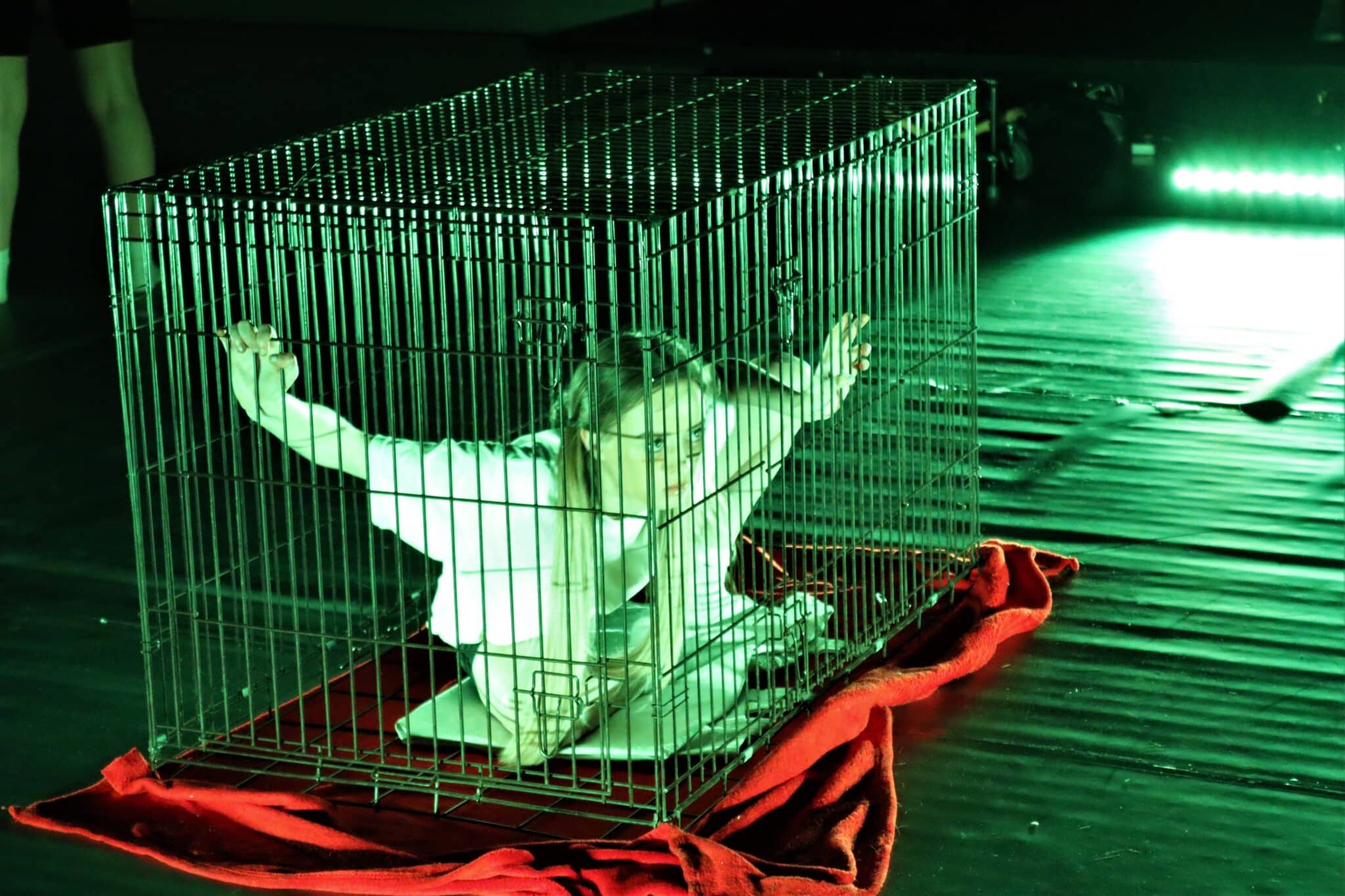 Dancer in cage
