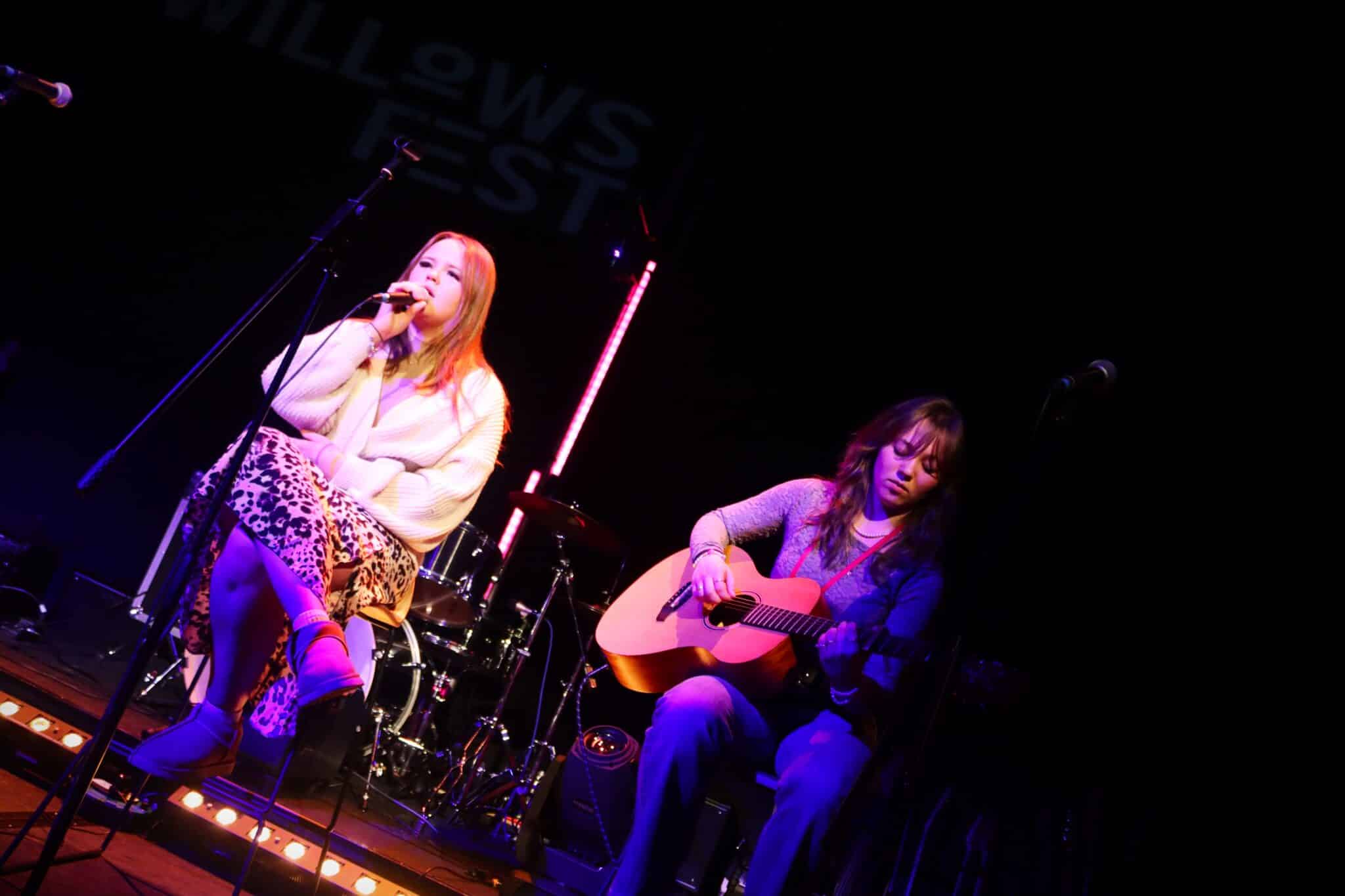 Music students host WillowsFest